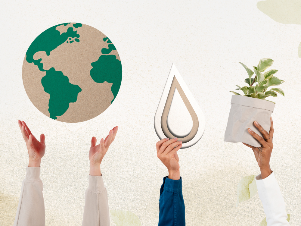 Eco Savings